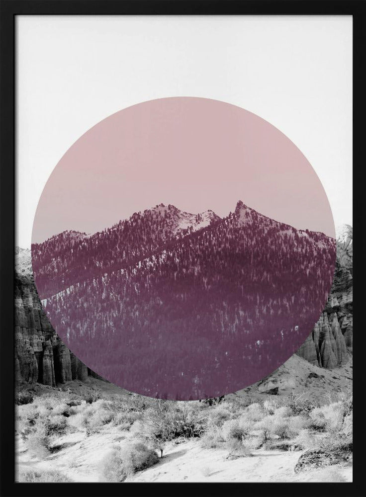 Shapes In Nature I | Poster