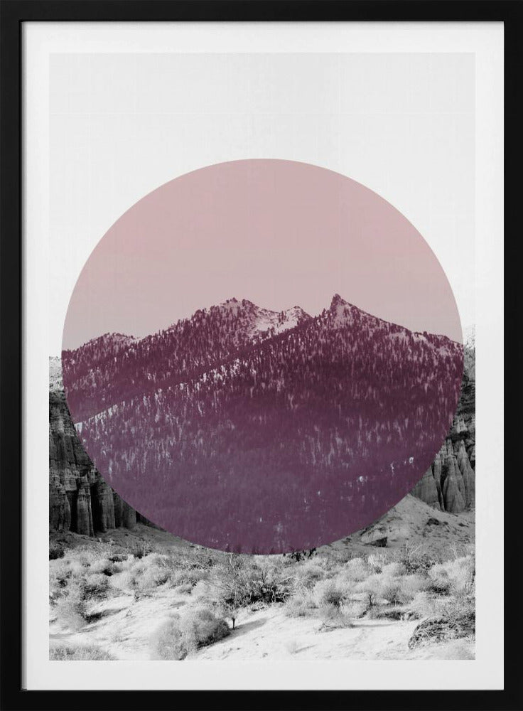 Shapes In Nature I | Poster