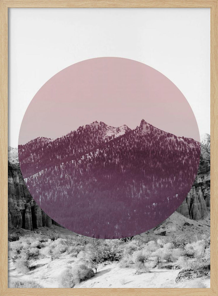 Shapes In Nature I | Poster