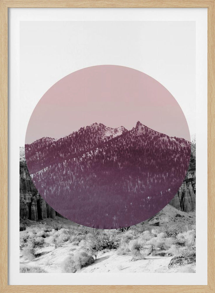 Shapes In Nature I | Poster