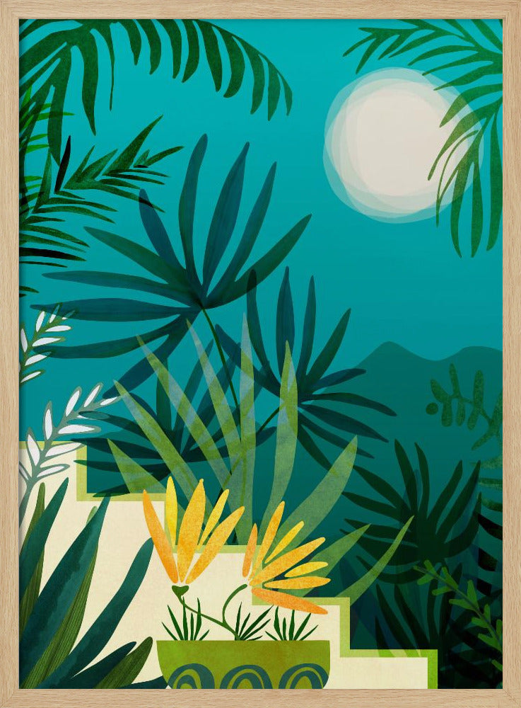 Rainforest With Moonlight | Poster