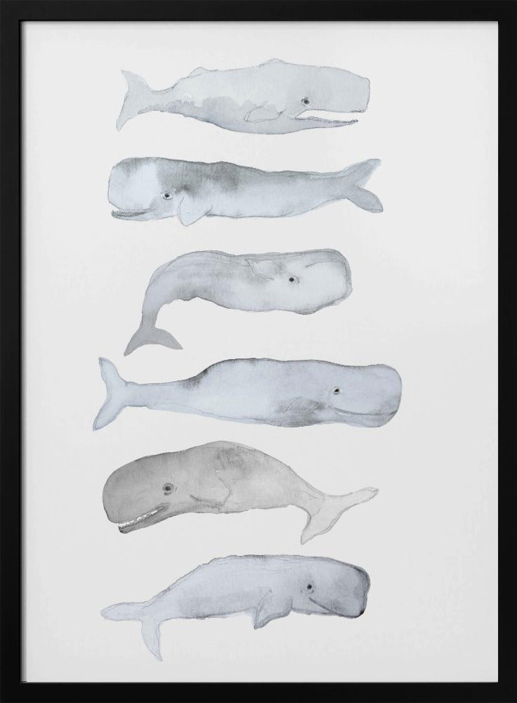 Whale Art | Poster