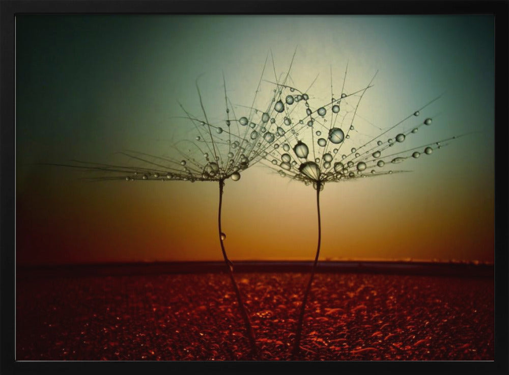 Fire and water | Poster