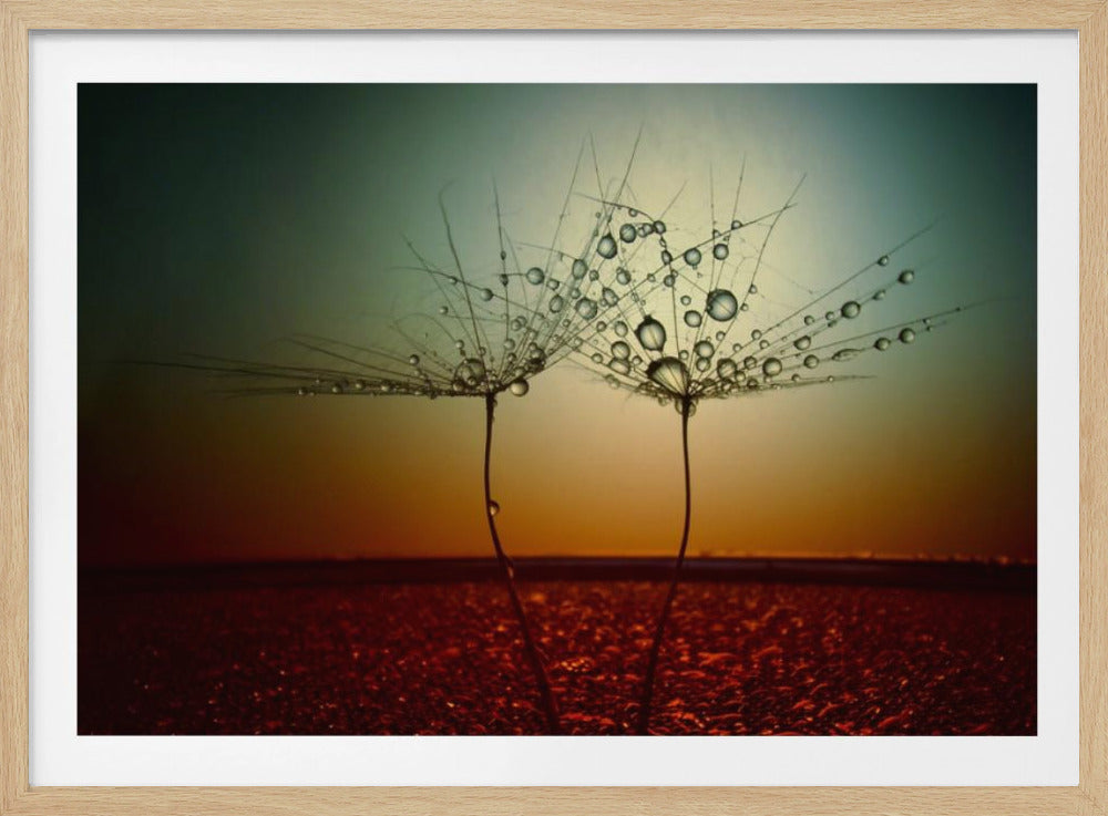 Fire and water | Poster