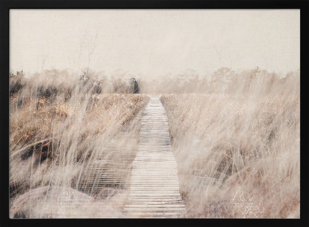 Dreamy landscape | Poster