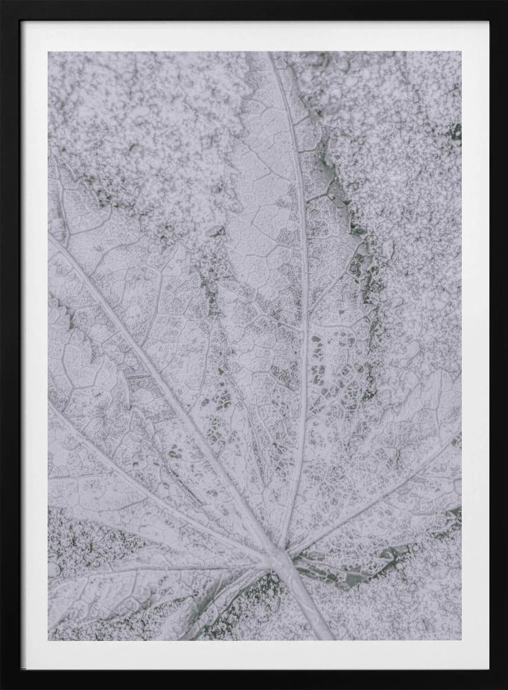 Return to Earth | Poster