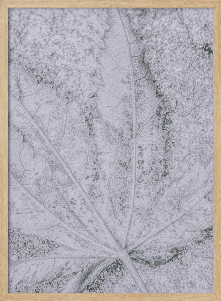 Return to Earth | Poster