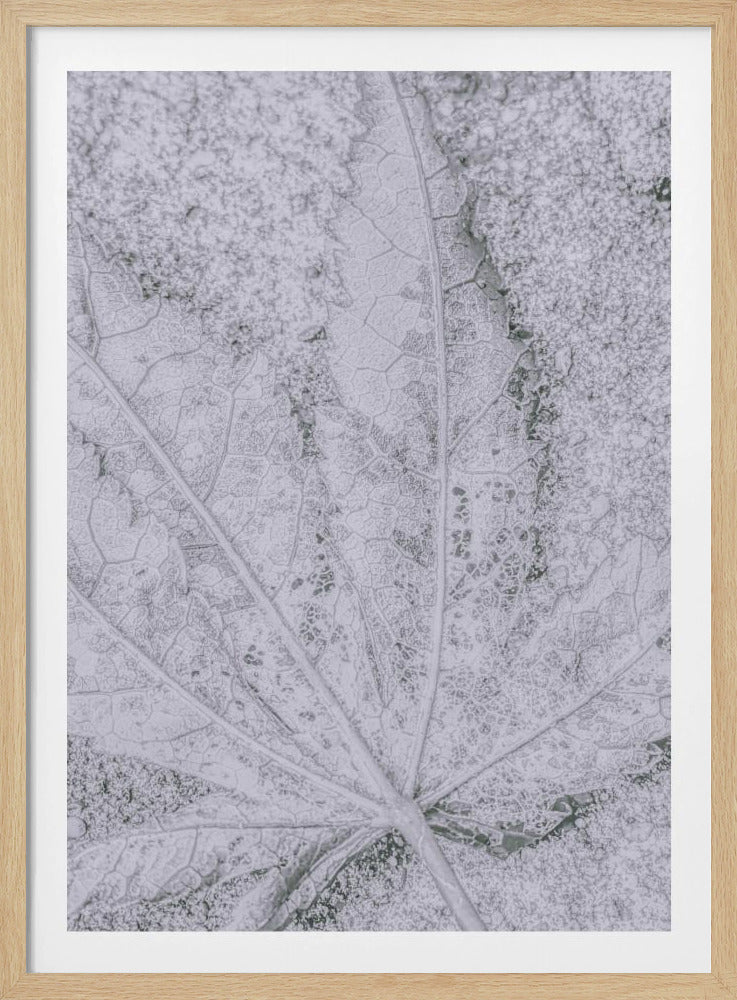 Return to Earth | Poster