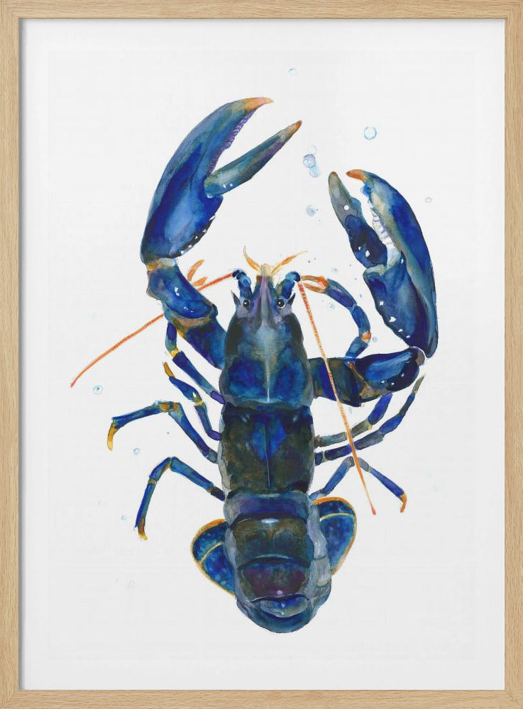 A Blue Lobster | Poster