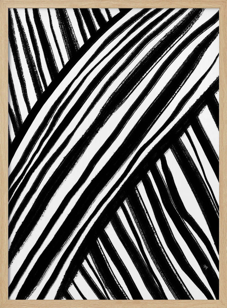 Zebra's Pathway | Poster