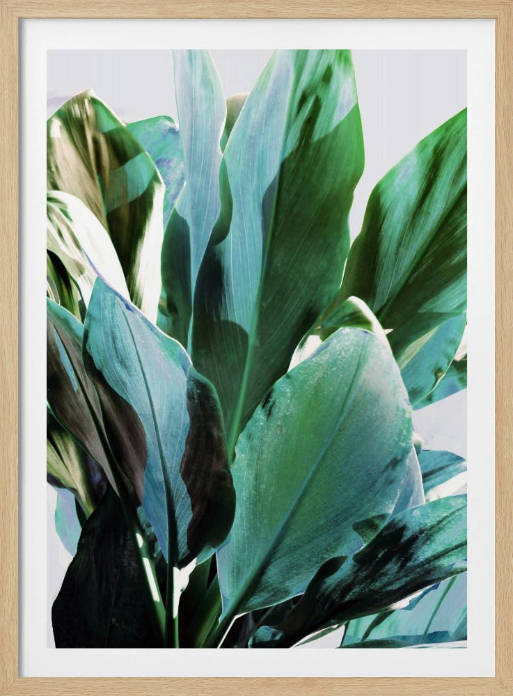 Green Leaves I | Poster