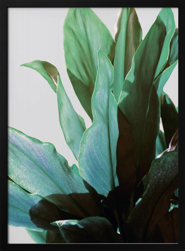 Green Leaves | Poster