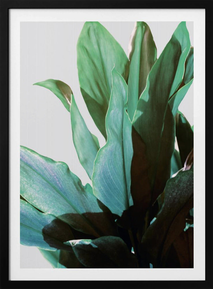Green Leaves | Poster