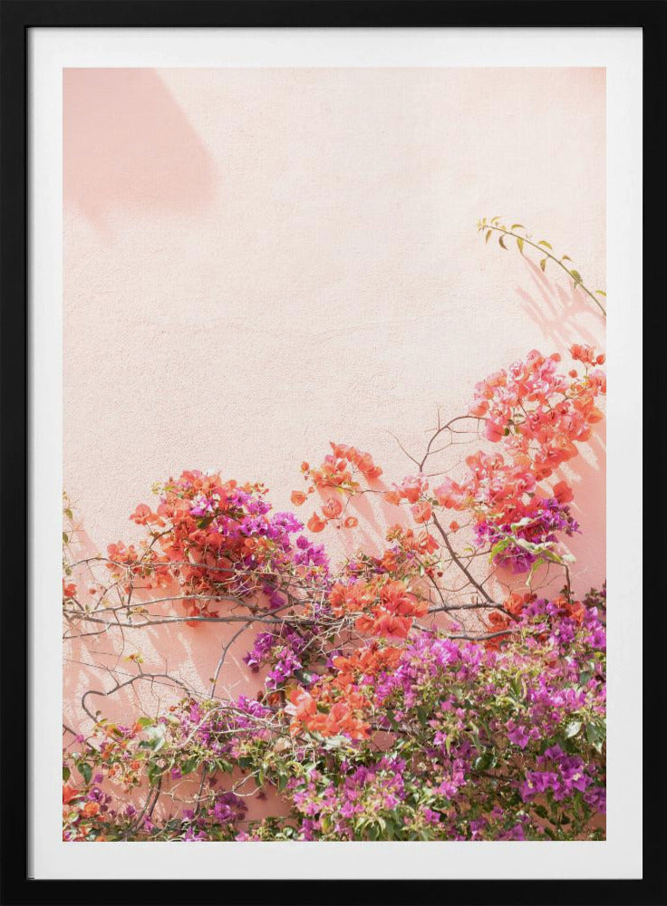 Pink Summer | Poster