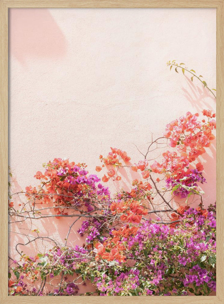 Pink Summer | Poster