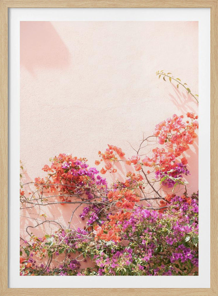 Pink Summer | Poster