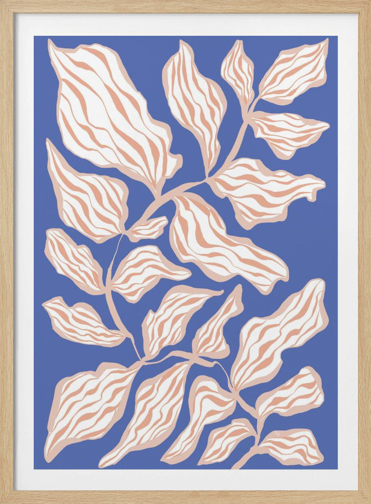 Evevning Glory | Poster