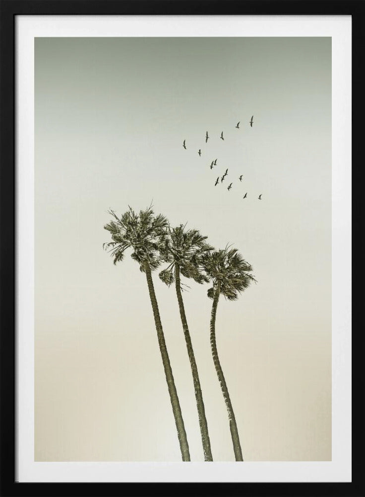 Vintage minimalist palm trees & sunset | Poster