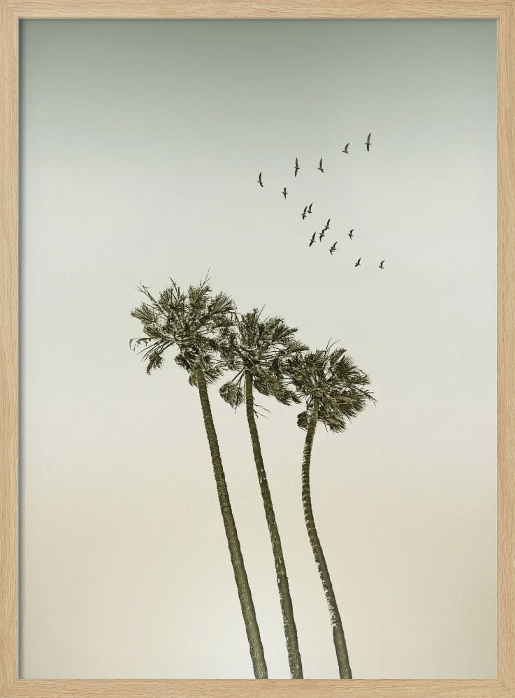 Vintage minimalist palm trees & sunset | Poster