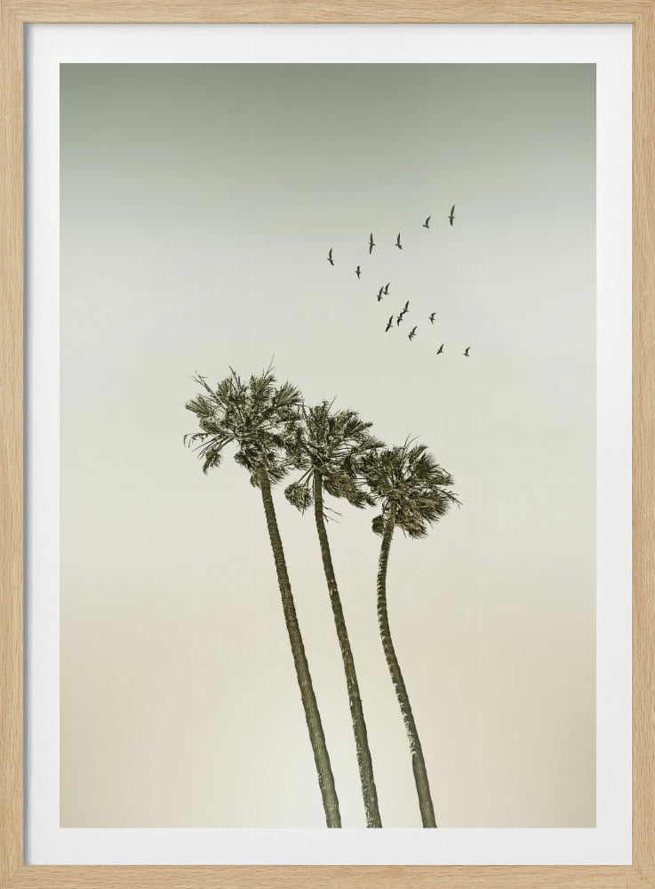 Vintage minimalist palm trees & sunset | Poster