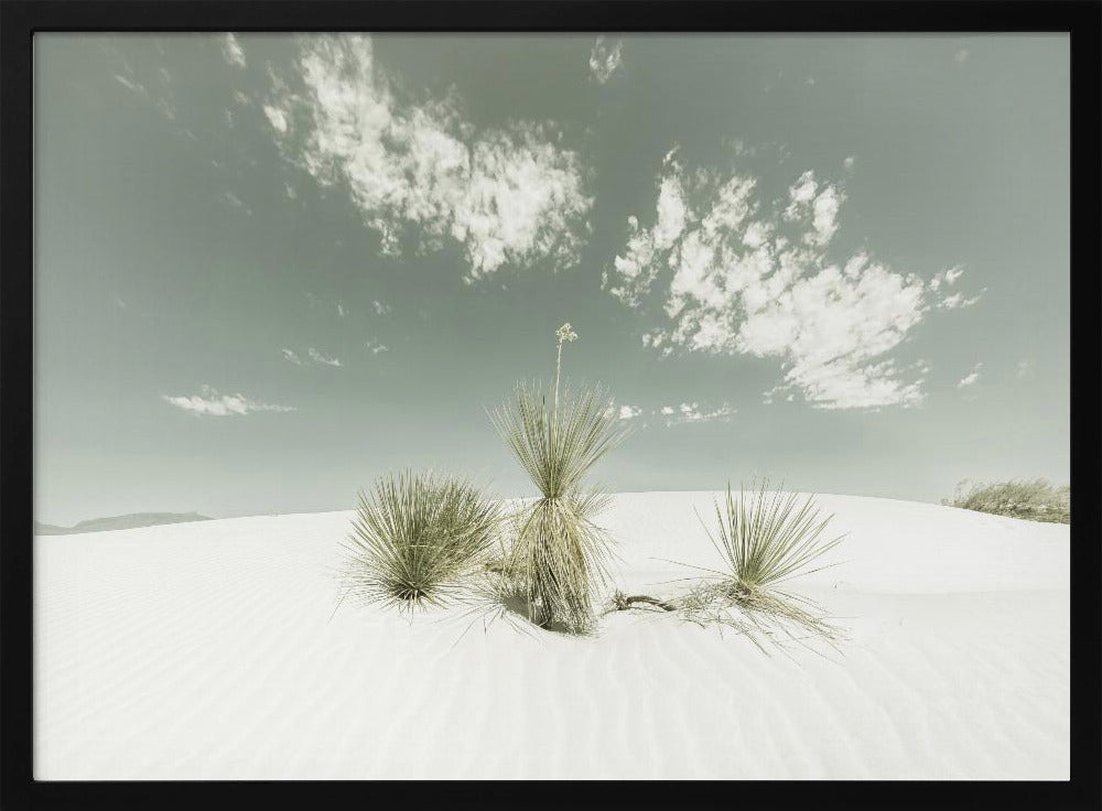 WHITE SANDS Vintage | Poster