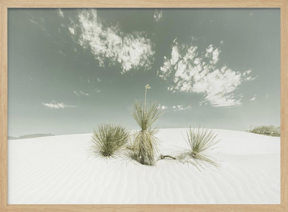 WHITE SANDS Vintage | Poster
