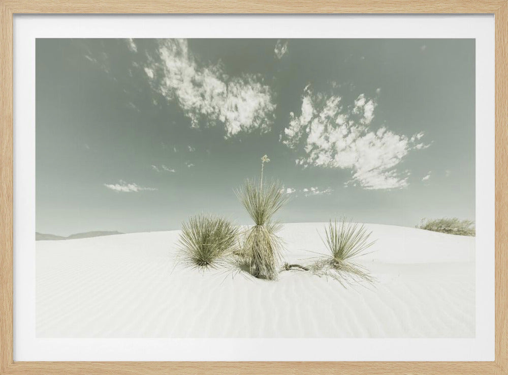 WHITE SANDS Vintage | Poster