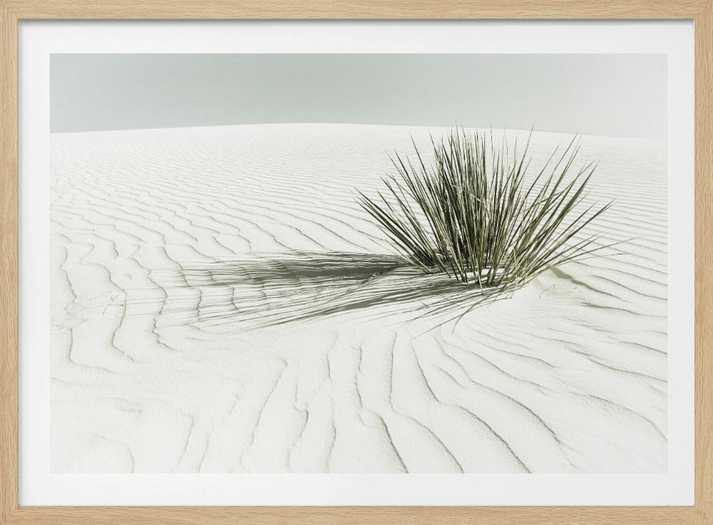 WHITE SANDS Vintage Dune | Poster