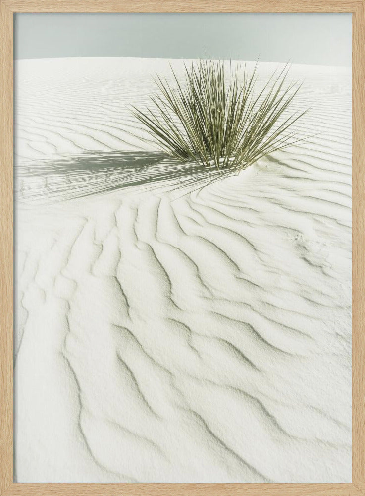 WHITE SANDS Idyllic vintage scenery | Poster