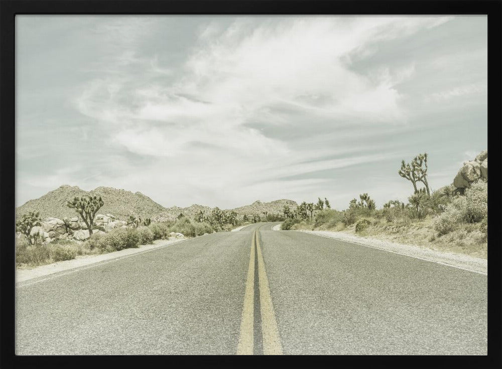Vintage Joshua Trees, Park Boulevard | Poster