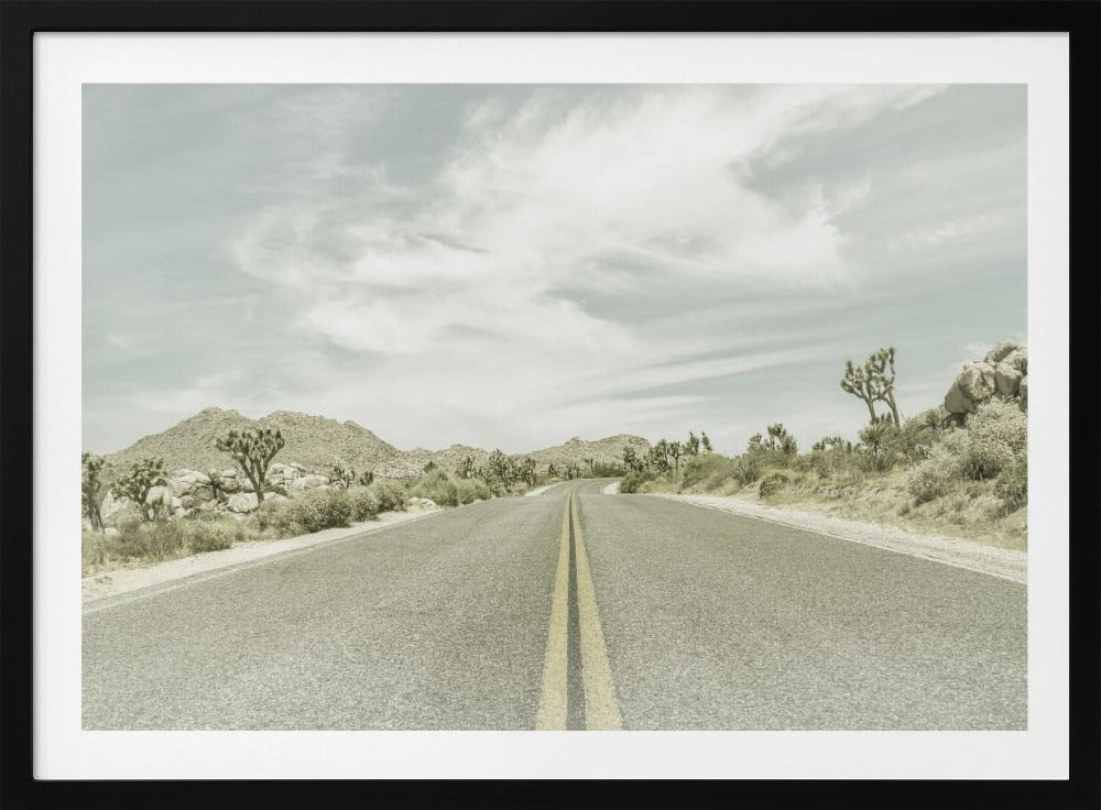 Vintage Joshua Trees, Park Boulevard | Poster