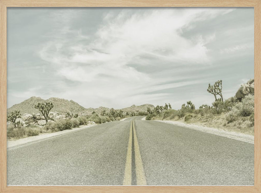 Vintage Joshua Trees, Park Boulevard | Poster