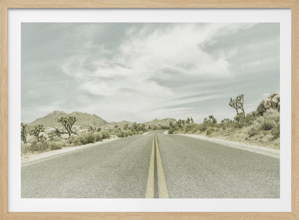Vintage Joshua Trees, Park Boulevard | Poster