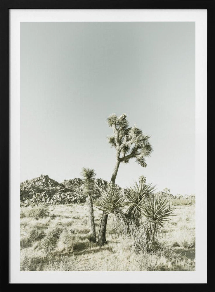 Joshua Tree National Park Vintage Impression | Poster