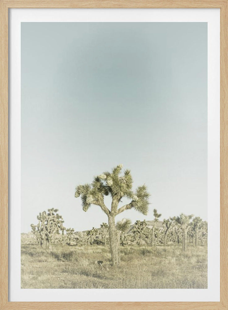 Vintage Joshua Tree National Park | Poster
