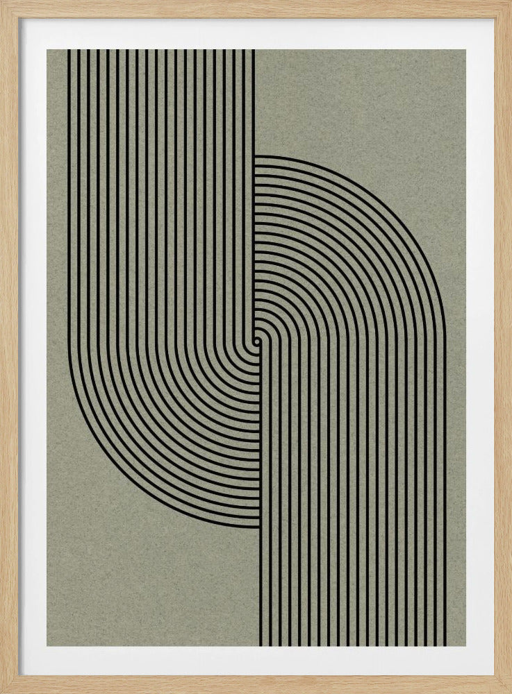 Curved Symmetry | Poster