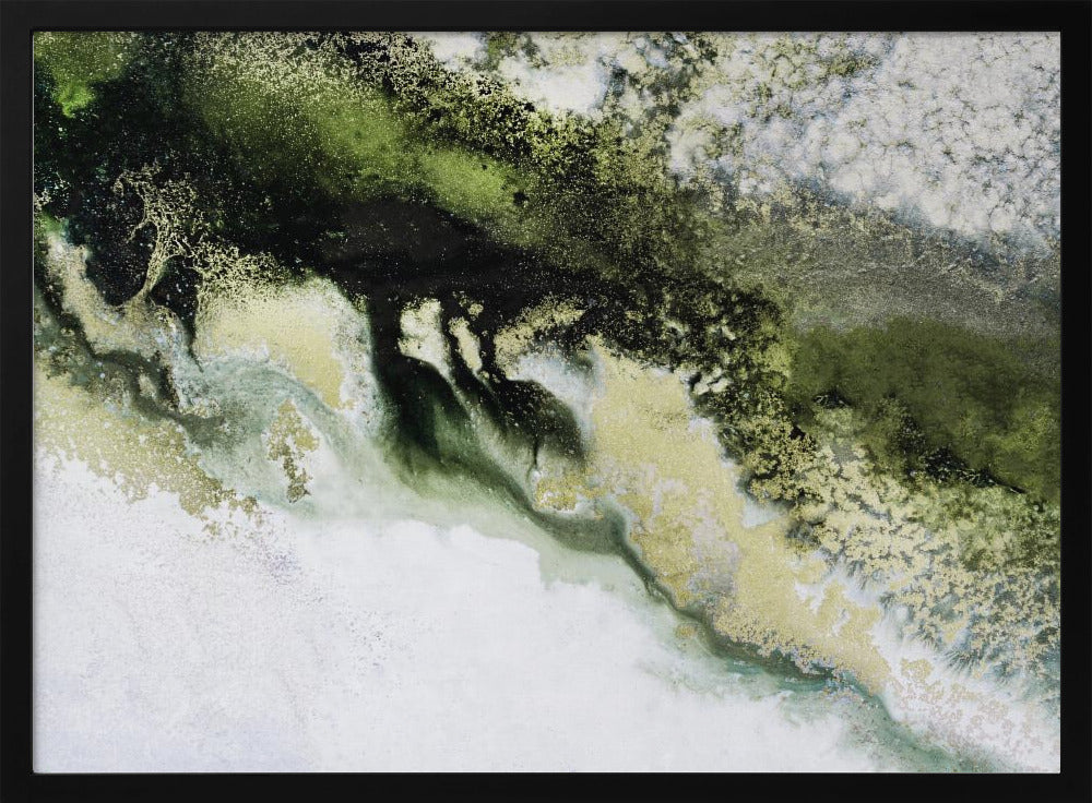 Wonders of the Wild Tif | Poster