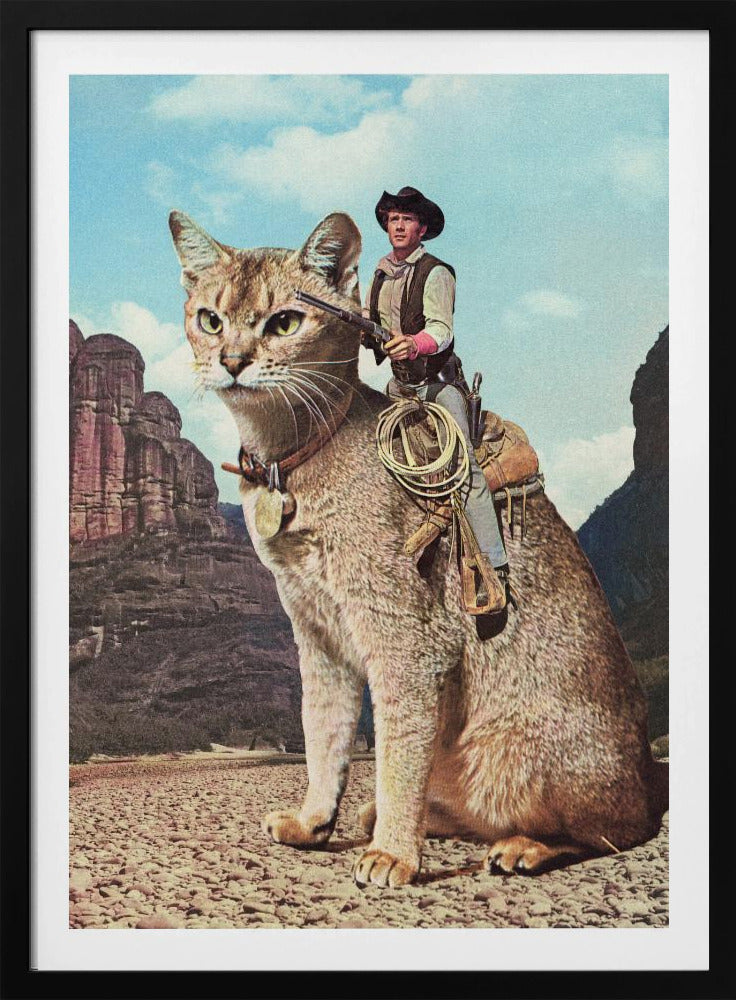 Cat Lone Ranger | Poster