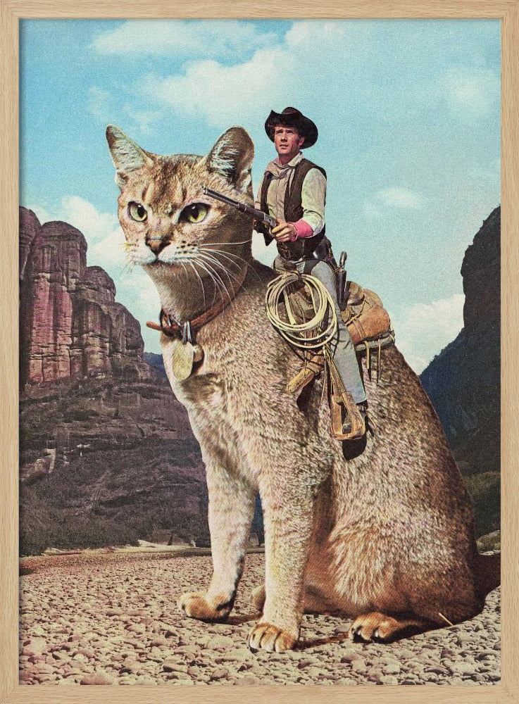Cat Lone Ranger | Poster