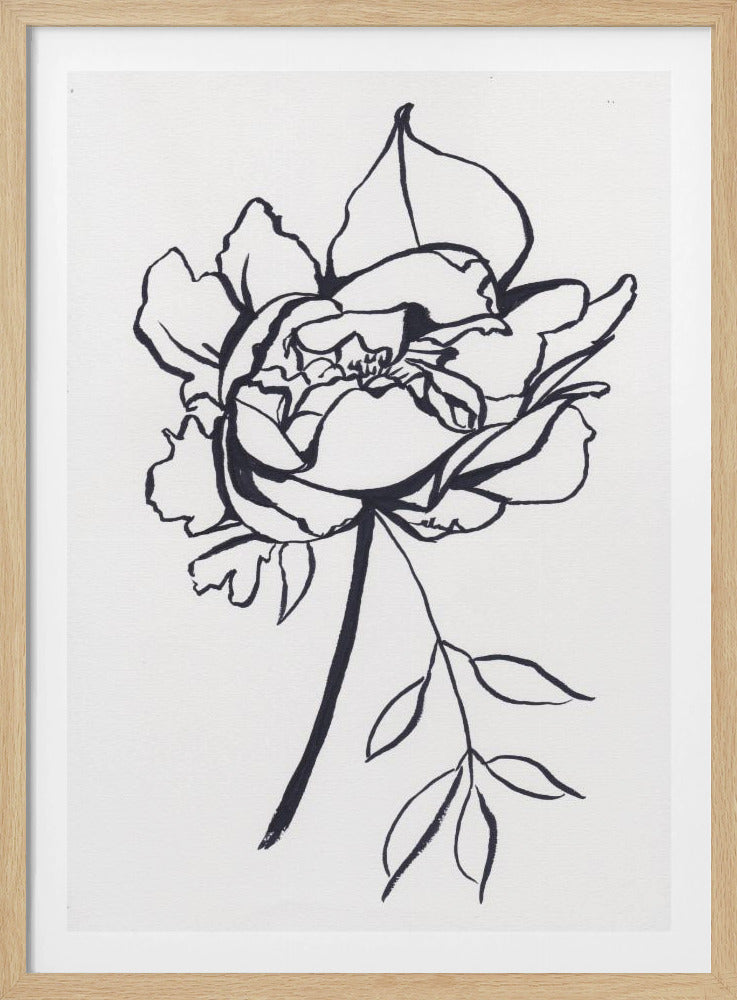 Black and White Peony | Poster