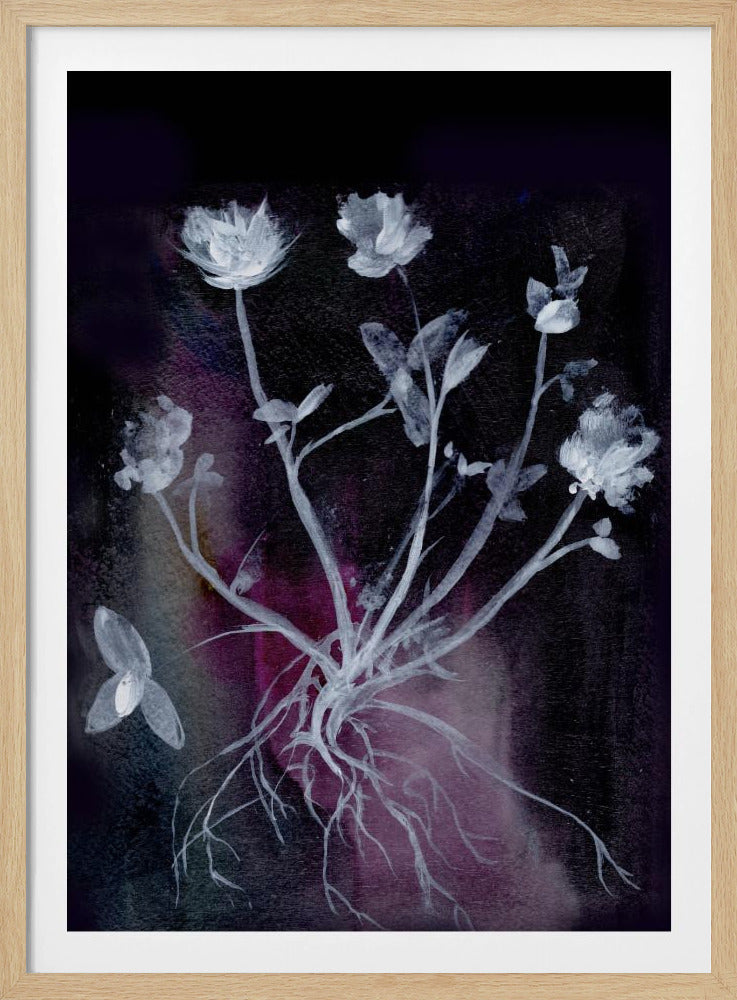 Secret Garden Ii | Poster