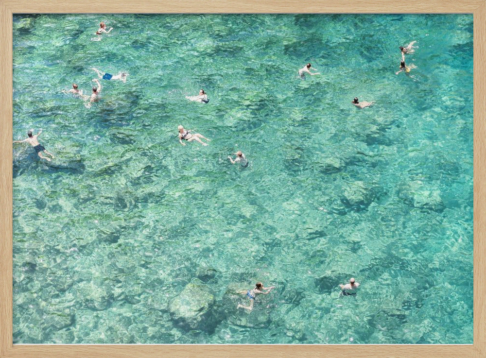 Swimming in the sea | Poster