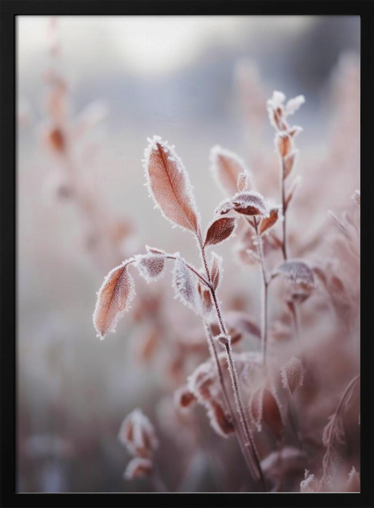 Frosted Elegance | Poster