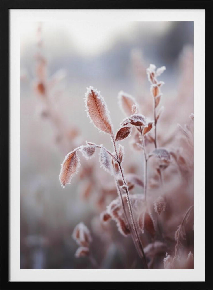 Frosted Elegance | Poster