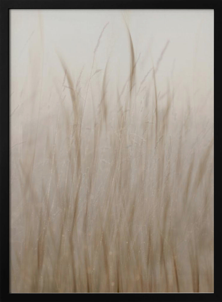 Meadow grass | Poster