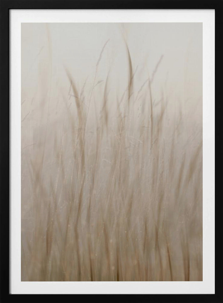 Meadow grass | Poster