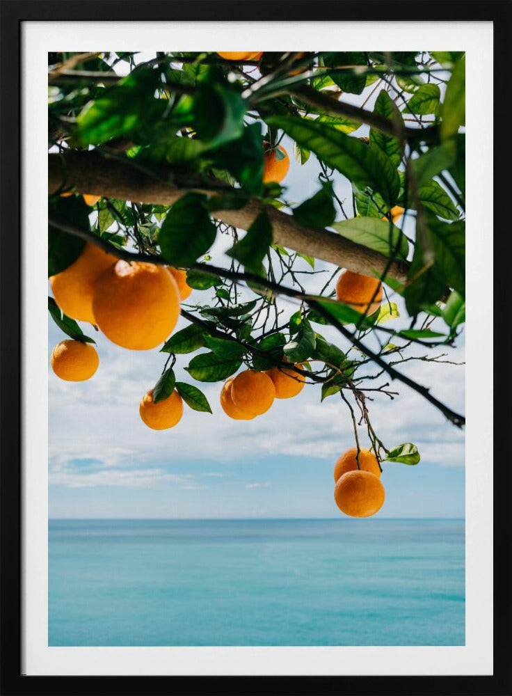 Amalfi Coast Oranges IV | Poster