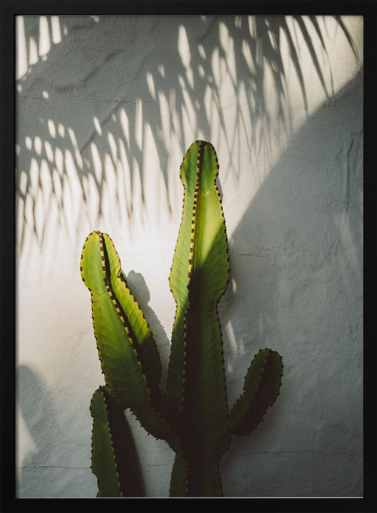 Socal Shadows | Poster