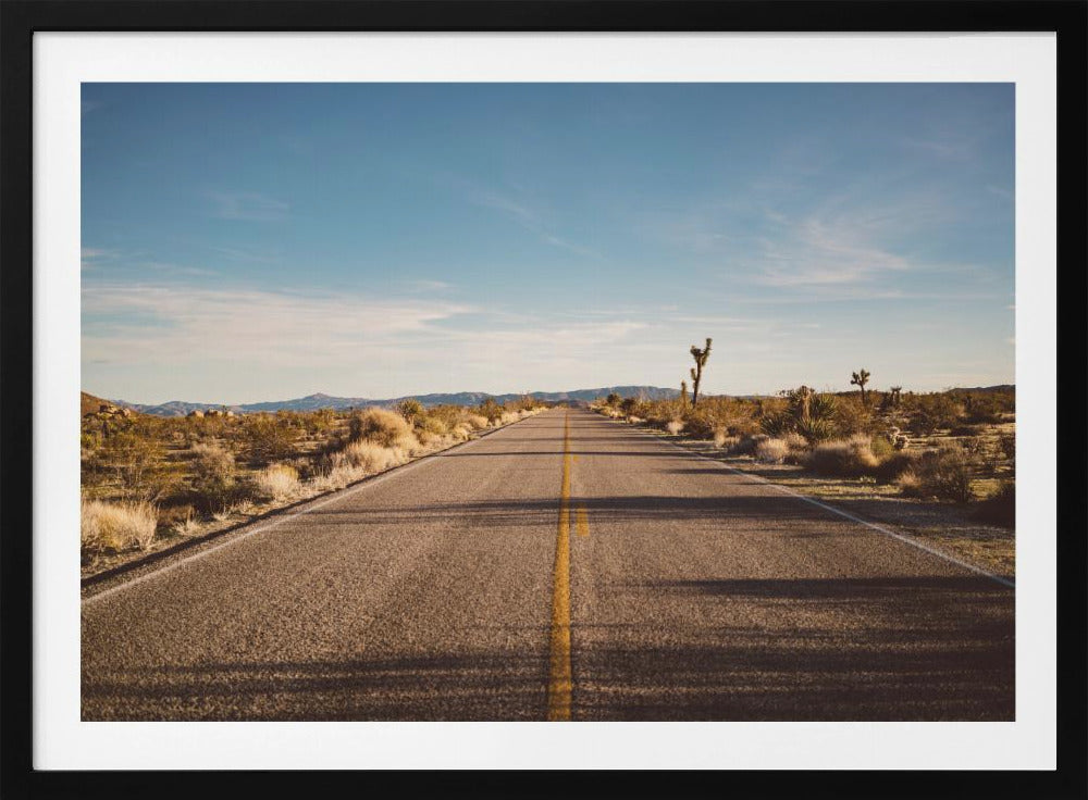 Joshua Tree Road | Poster
