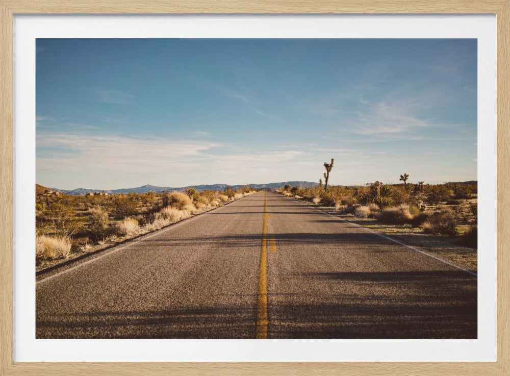 Joshua Tree Road | Poster